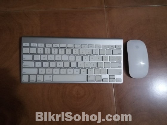 Apple Magic keybord and mouse